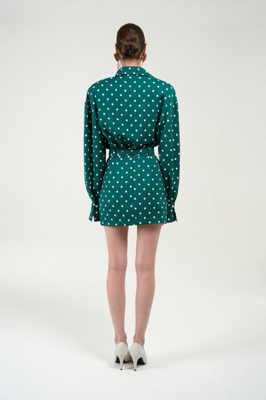 Polka Dots Mini Skirt