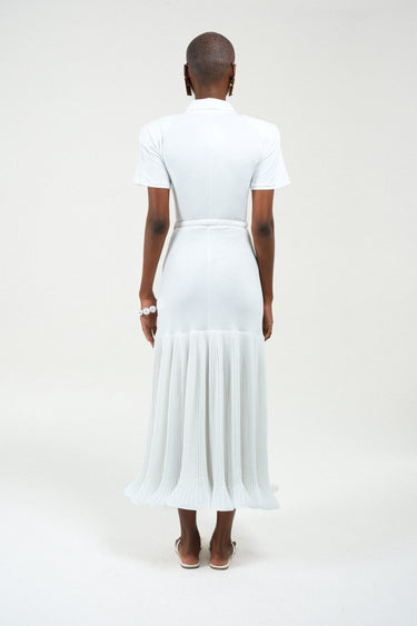 Polo Dress with Pleated Skirt