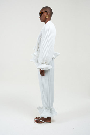 Pleated Balloon Pants